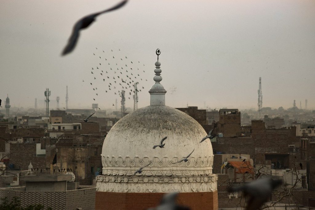 oiseaux volant autour de mosquée